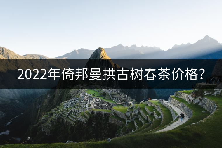 2022年倚邦曼拱古樹春茶價格？