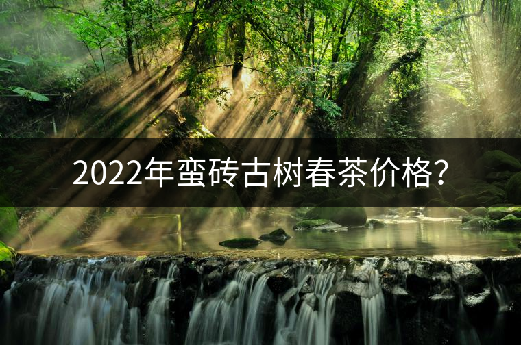 2022年蠻磚古樹春茶價(jià)格？
