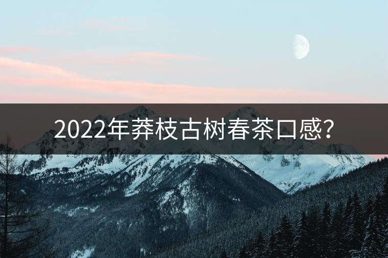 2022年莽枝古樹(shù)春茶口感? 2022年莽枝古樹(shù)春茶口感?