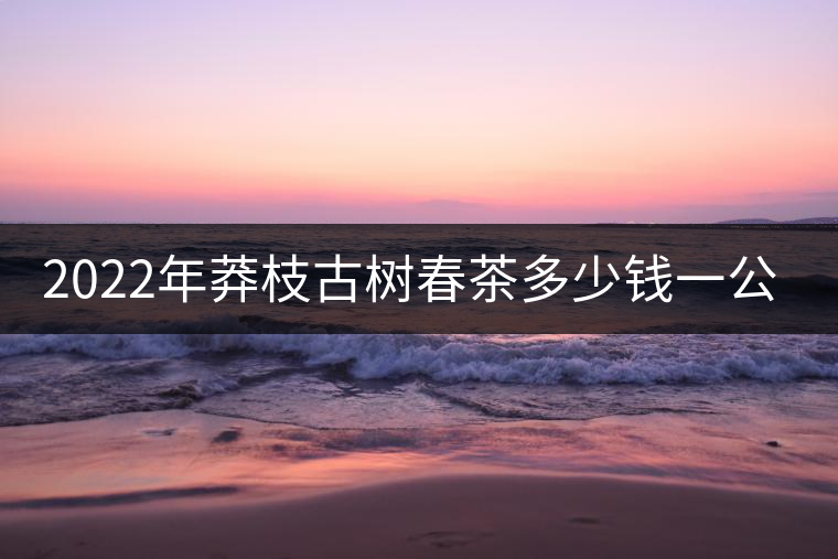 2022年莽枝古樹春茶多少錢一公斤？