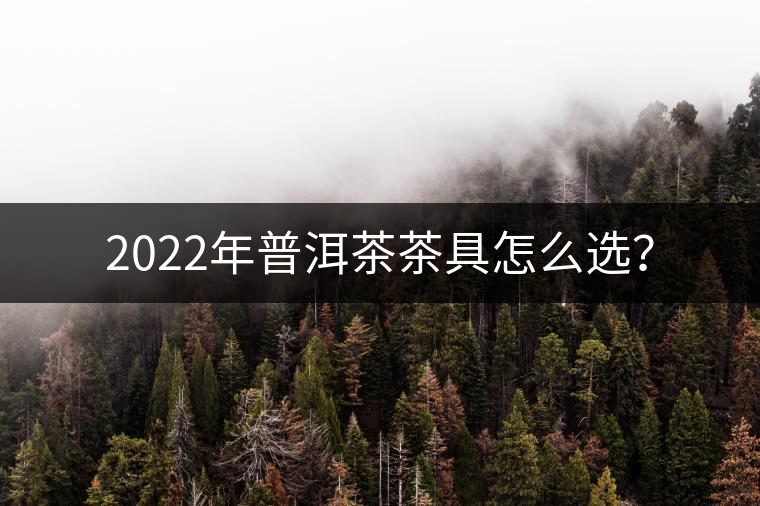 2022年普洱茶茶具怎么選？
