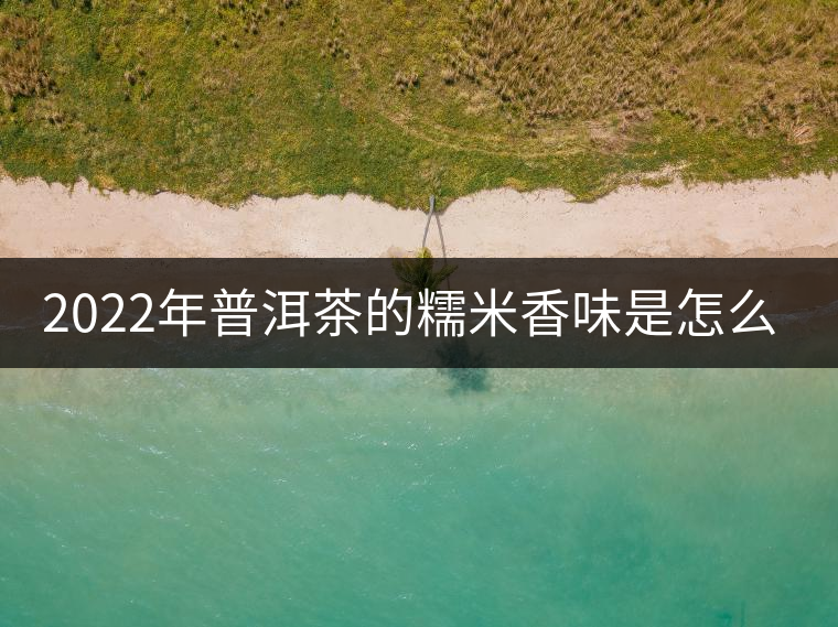 2022年普洱茶的糯米香味是怎么來的？