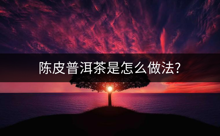 陳皮普洱茶是怎么做法?