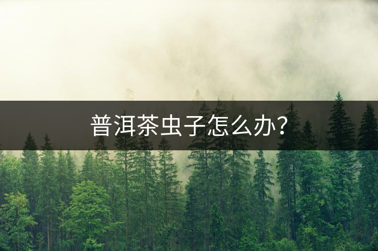 普洱茶蟲(chóng)子怎么辦？