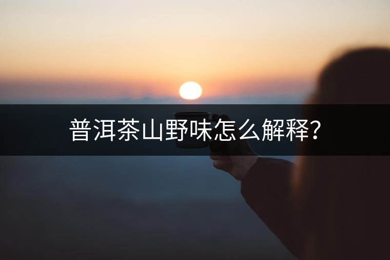 普洱茶山野味怎么解釋？