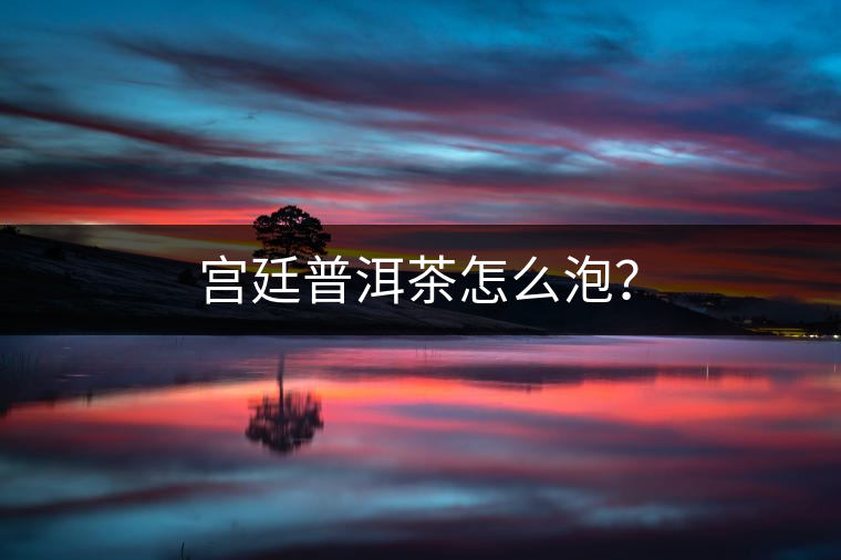 宮廷普洱茶怎么泡？