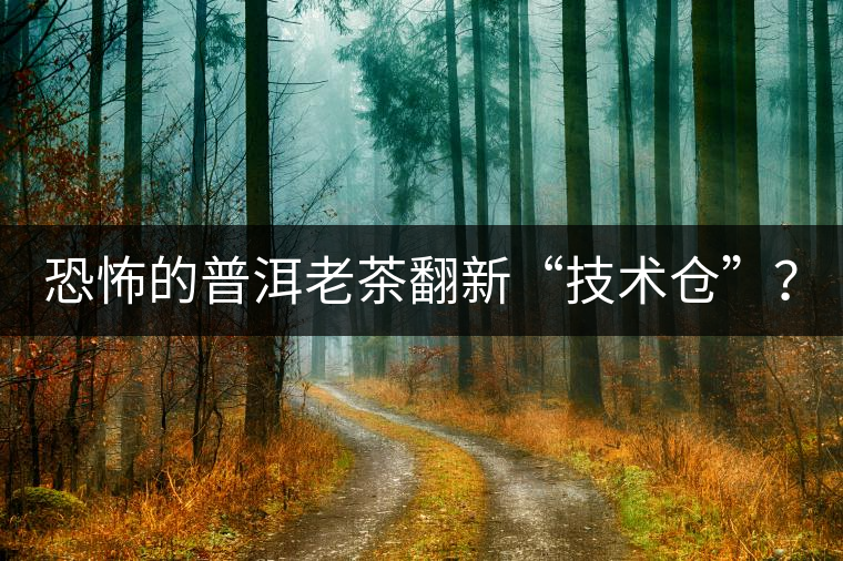 恐怖的普洱老茶翻新“技術(shù)倉”？