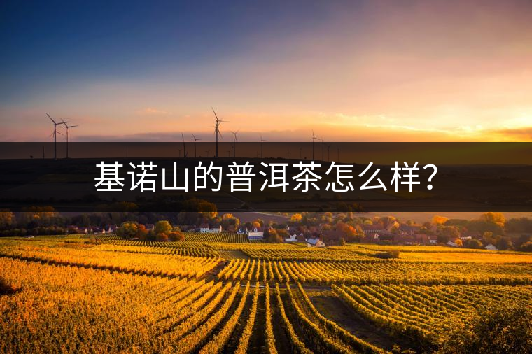 基諾山的普洱茶怎么樣？