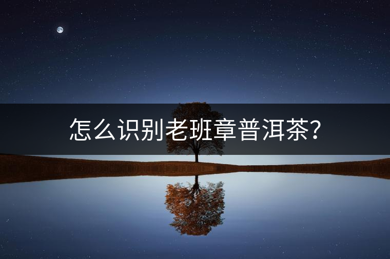 怎么識別老班章普洱茶？