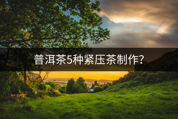 普洱茶5種緊壓茶制作？