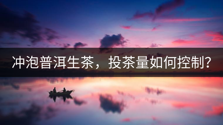 沖泡普洱生茶，投茶量如何控制？