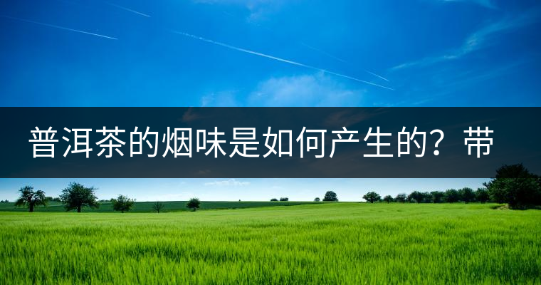 普洱茶的煙味是如何產(chǎn)生的？帶煙味的普洱茶是好還是壞？
