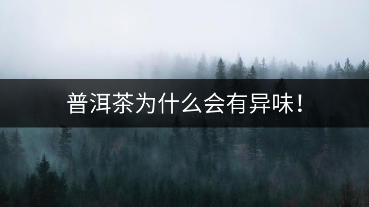 普洱茶為什么會有異味！