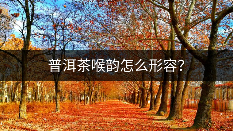 普洱茶喉韻怎么形容？