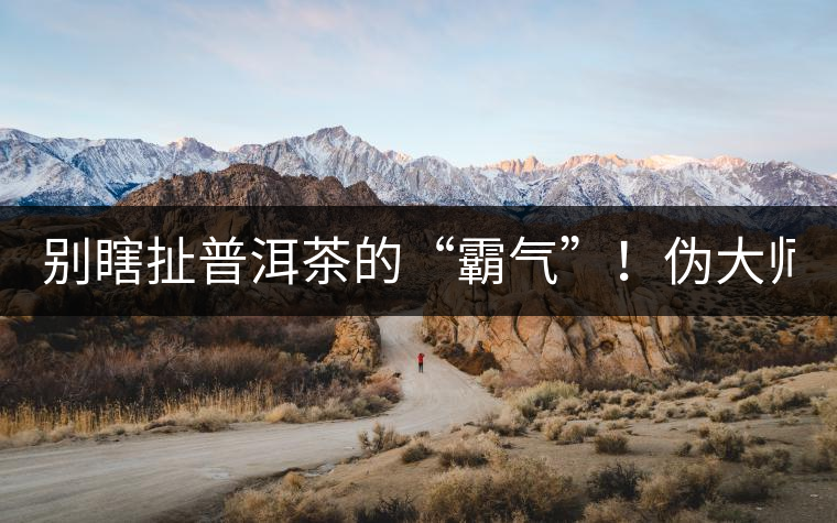 別瞎扯普洱茶的“霸氣”！偽大師！