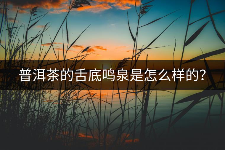 普洱茶的舌底鳴泉是怎么樣的？