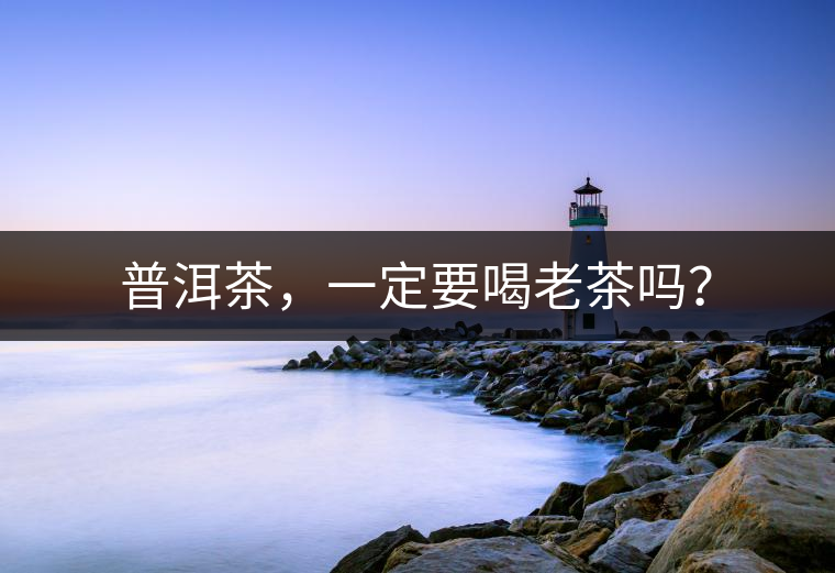 普洱茶，一定要喝老茶嗎？