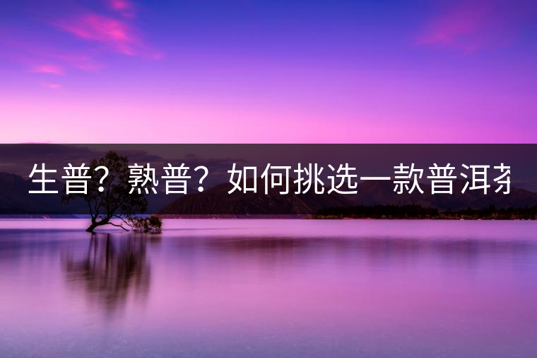 生普？熟普？如何挑選一款普洱茶？