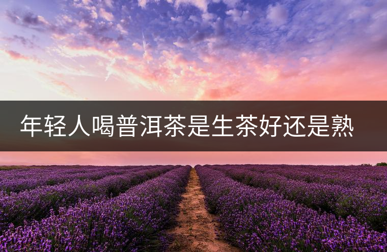 年輕人喝普洱茶是生茶好還是熟茶好？該怎么選擇？