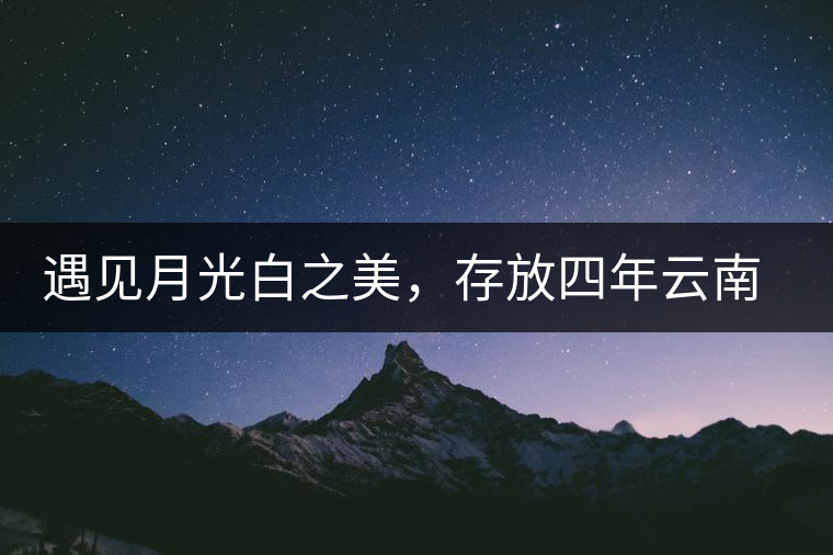 遇見月光白之美，存放四年云南古樹白茶