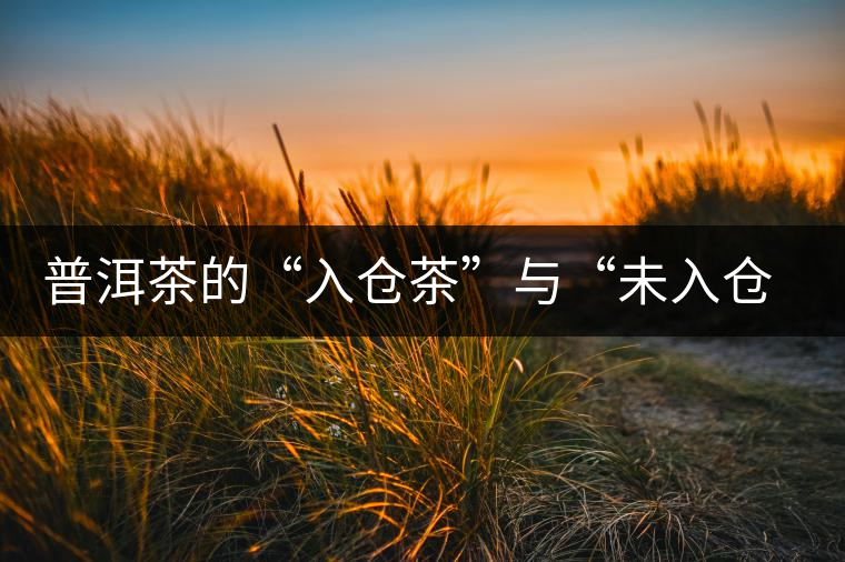 普洱茶的“入倉(cāng)茶”與“未入倉(cāng)茶”如何區(qū)分，你造嗎？