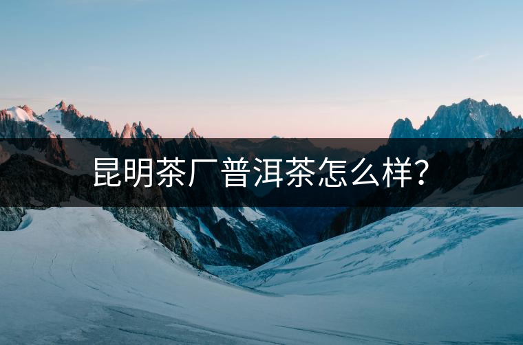 昆明茶廠普洱茶怎么樣？