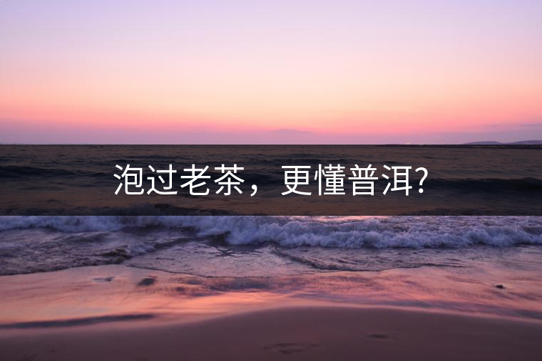 泡過老茶，更懂普洱?