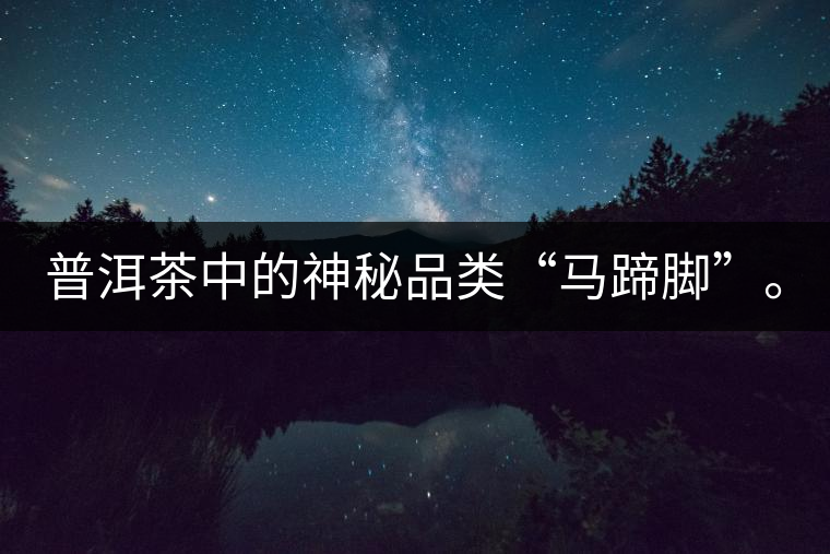 普洱茶中的神秘品類“馬蹄腳”。