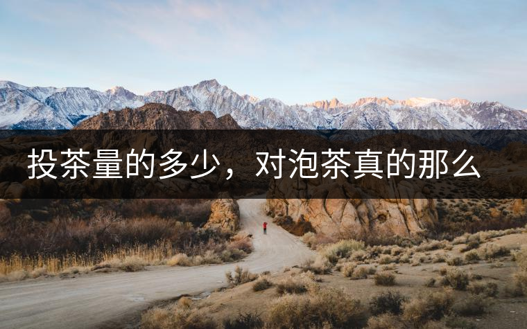 投茶量的多少，對泡茶真的那么重要嗎？