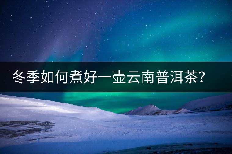 冬季如何煮好一壺云南普洱茶？記好這份煮茶攻略