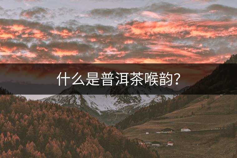 什么是普洱茶喉韻？
