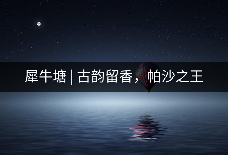 犀牛塘 | 古韻留香，帕沙之王