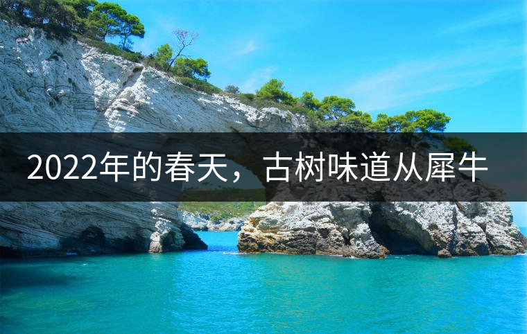 2022年的春天，古樹味道從犀牛塘開始！