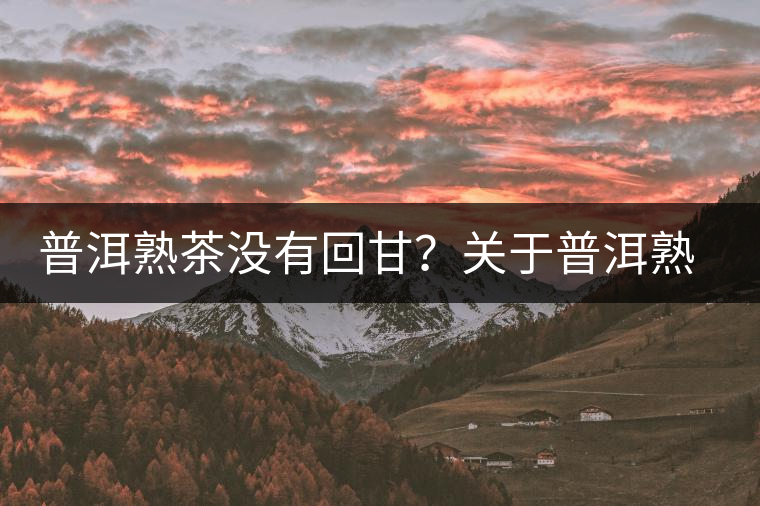 普洱熟茶沒有回甘？關(guān)于普洱熟茶的這些知識你必須知道！