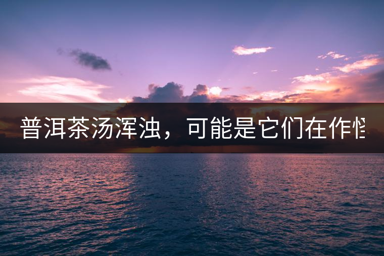 普洱茶湯渾濁，可能是它們在作怪？