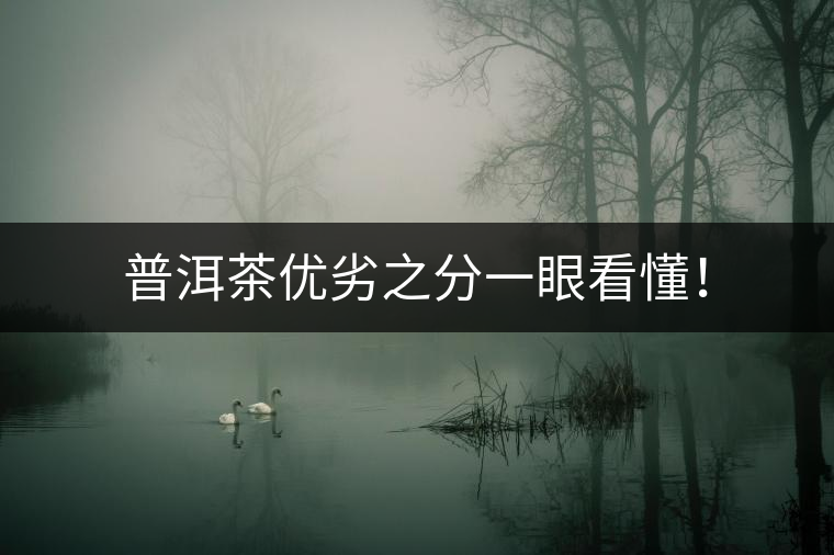 普洱茶優(yōu)劣之分一眼看懂！