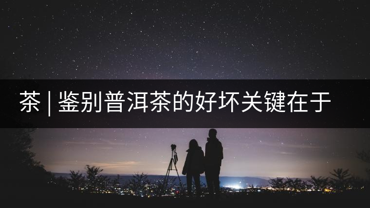 茶 | 鑒別普洱茶的好壞關鍵在于這7條鐵律