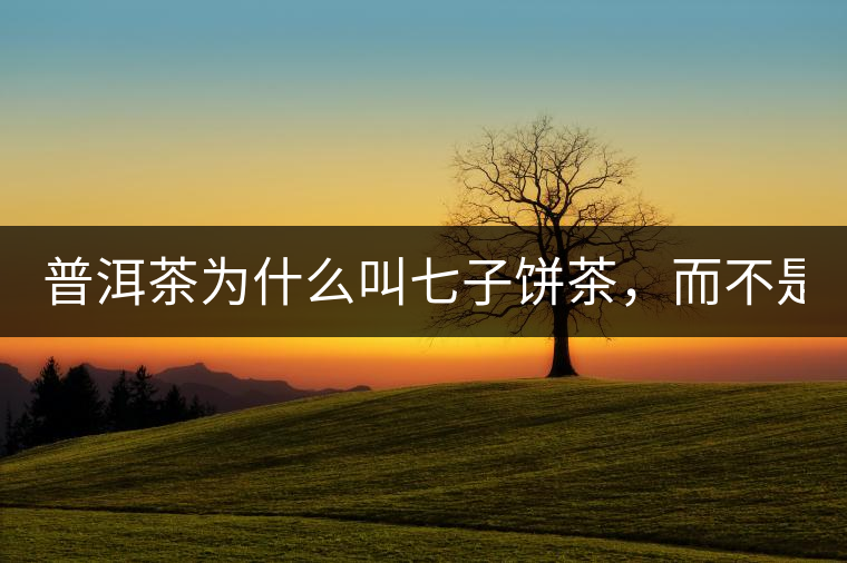 普洱茶為什么叫七子餅茶，而不是六子餅、八子餅......？