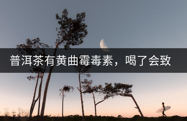 普洱茶有黃曲霉毒素，喝了會致癌？不黑不吹，咱用事實(shí)說話