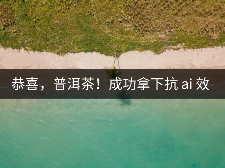 恭喜，普洱茶！成功拿下抗 ai 效果第二名！