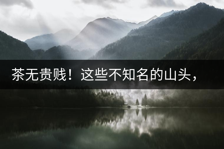 茶無(wú)貴賤！這些不知名的山頭，其實(shí)也產(chǎn)優(yōu)質(zhì)普洱茶！