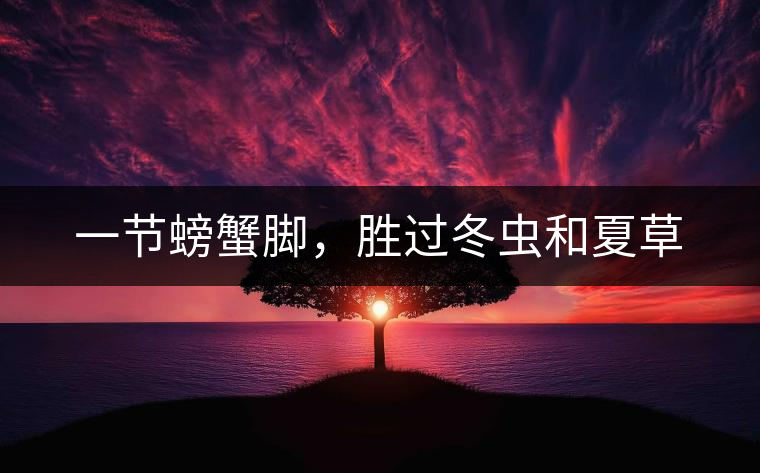 一節(jié)螃蟹腳，勝過冬蟲和夏草