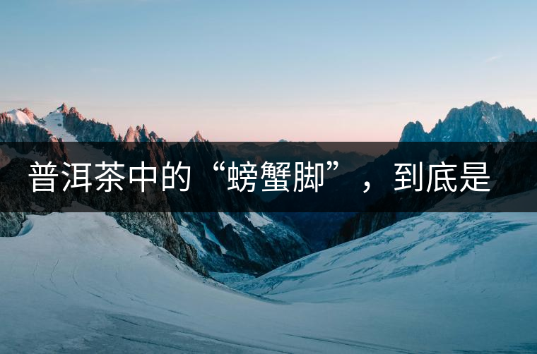 普洱茶中的“螃蟹腳”，到底是什么？如何辨別？
