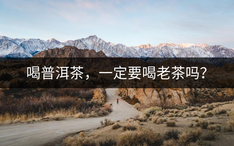 喝普洱茶，一定要喝老茶嗎？