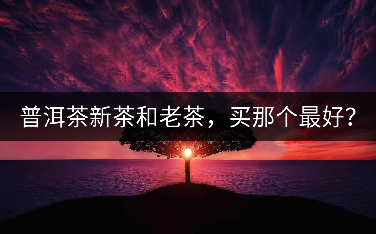 普洱茶新茶和老茶，買那個(gè)最好？