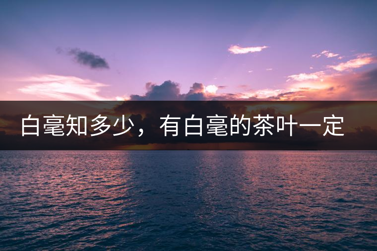 白毫知多少，有白毫的茶葉一定好嗎？