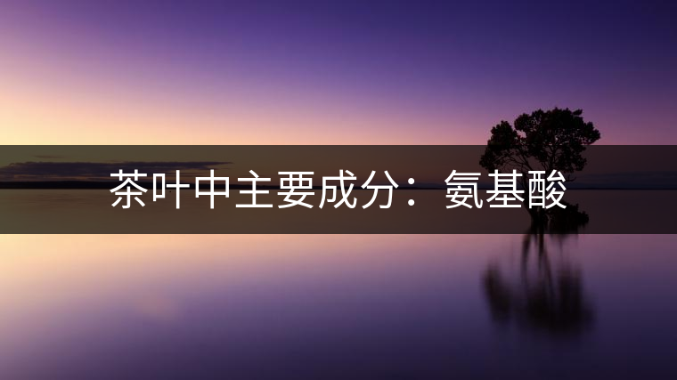 茶葉中主要成分：氨基酸