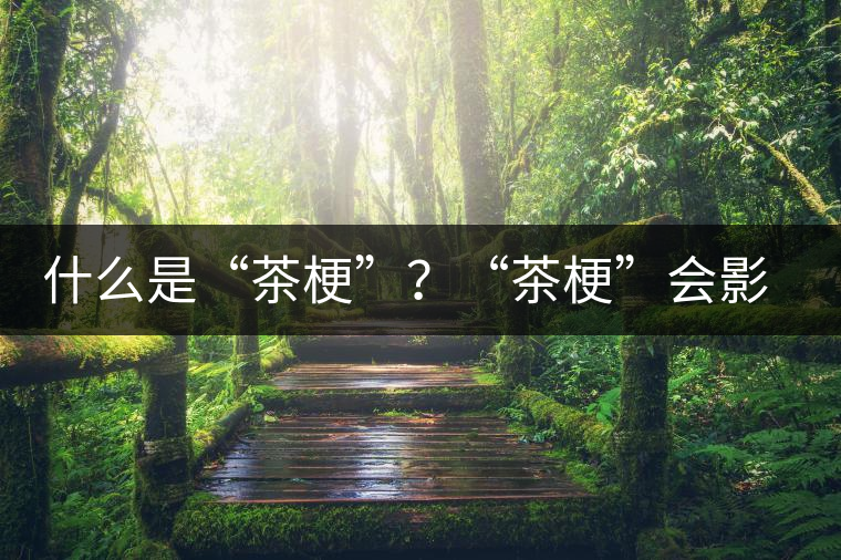 什么是“茶?！?？“茶?！睍绊懫斩杵焚|？