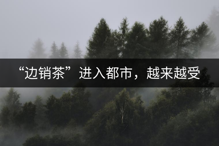 “邊銷茶”進(jìn)入都市，越來越受人們青睞