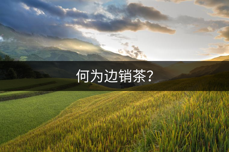 何為邊銷茶？